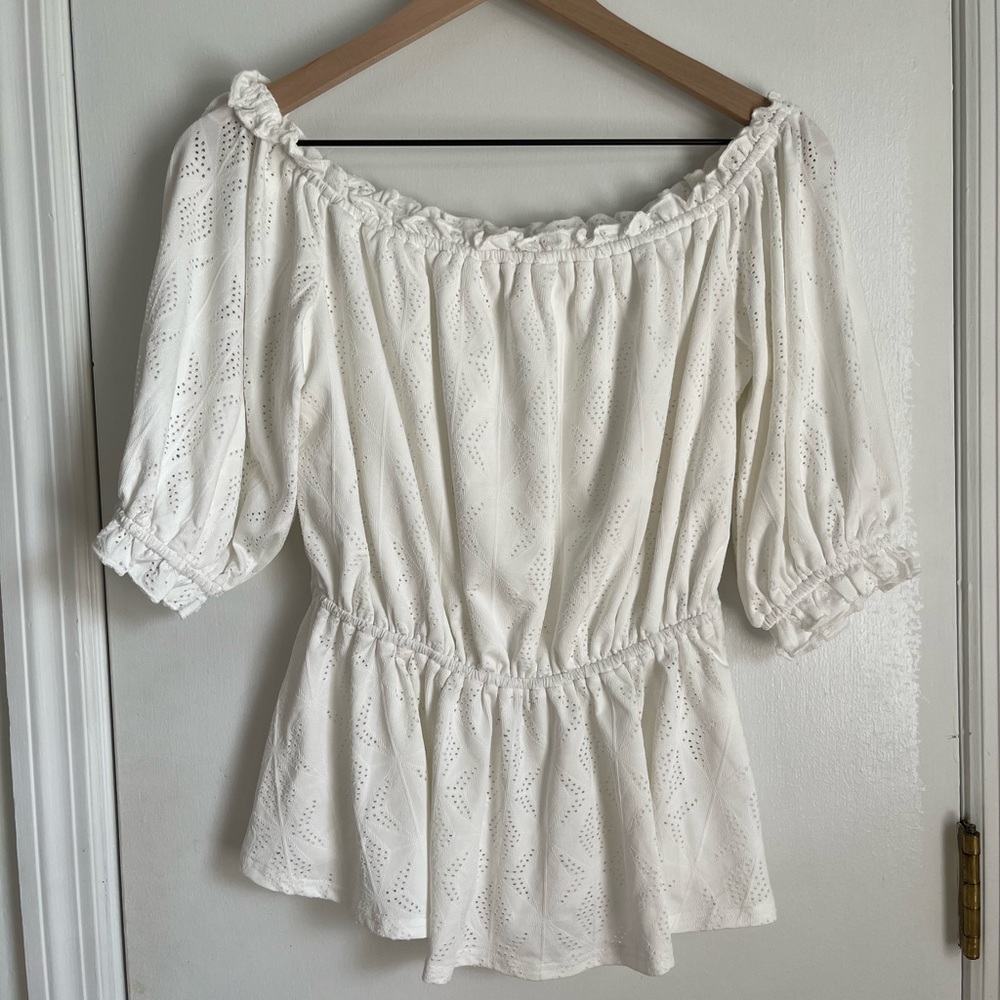 Lizard Thicket OTS  top